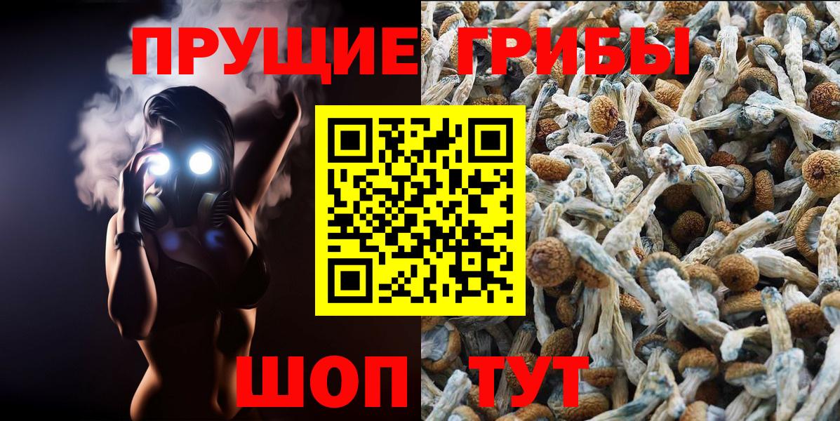 Псилоцибиновые грибы мухоморы  Вход с VPN  Избербаш  Псилоцибиновые грибы мухоморы 